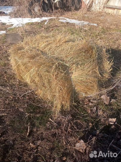 Сено в тюках