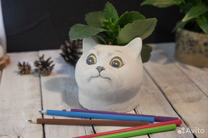 Кашпо горшок для цветов