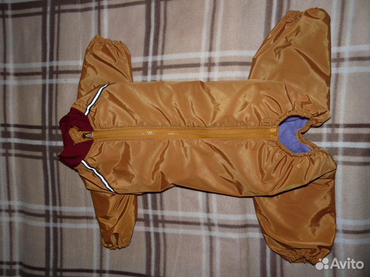 Комбинезон на собаку - мальчика