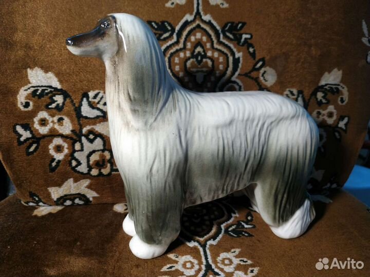 Собака афганская борзая лфз