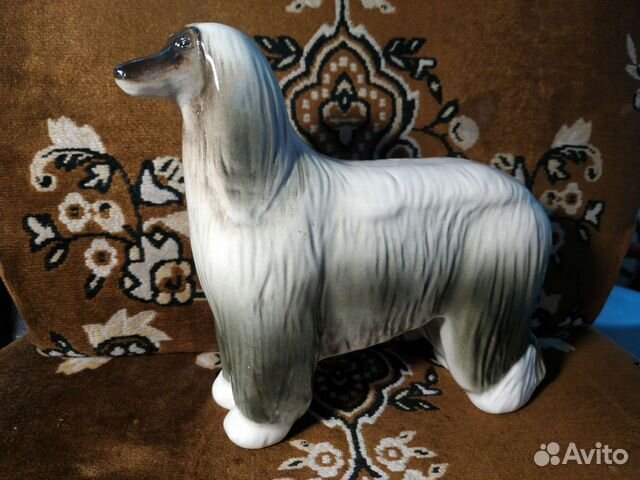 Собака афганская борзая лфз