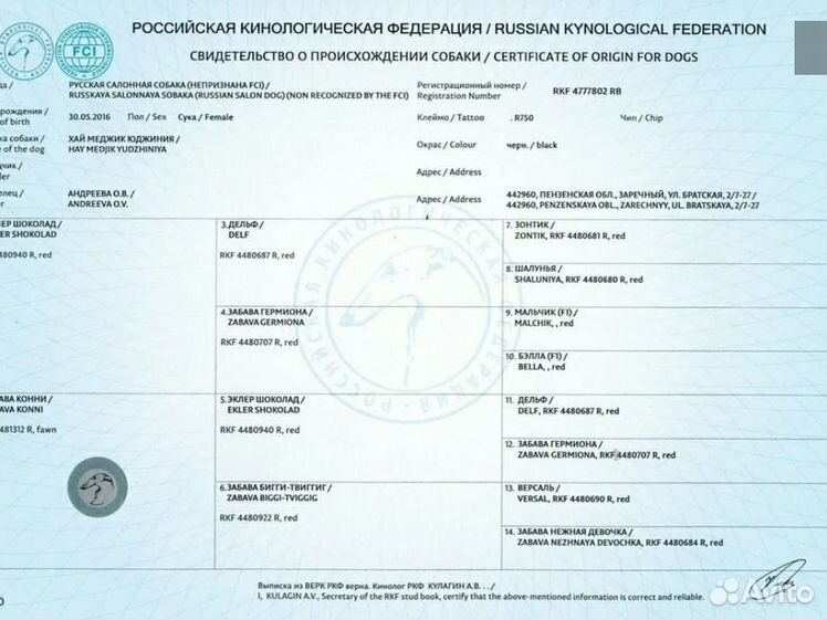 Как выглядят документы на собаку Купить родословную для собаки - Услуги и сервисы в Москве Поиск специалистов Усл