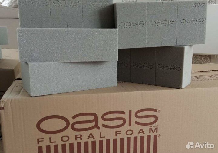 Флористический оазис для сухоцветов