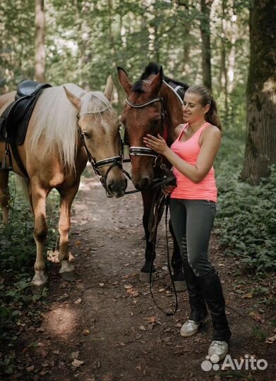 Аренда/продажа/обмен/иппотерапия. Мск