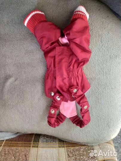 Комбинезон для щенка