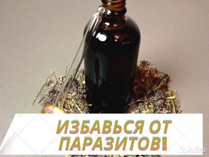 Маслогон паразитарный N3