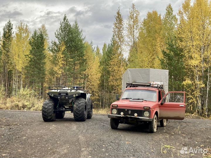 Снегоболотоход зэт