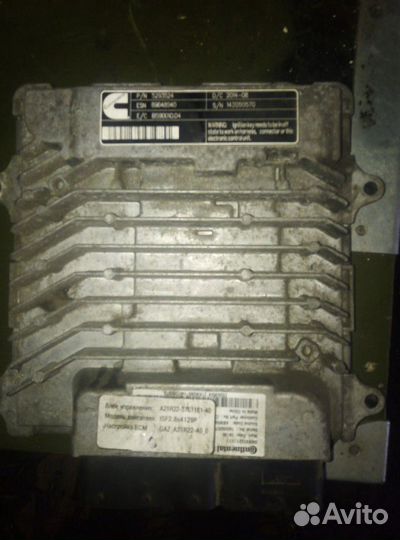 Эбу мозги Газель некст Continental