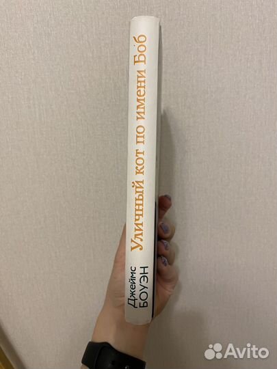 Уличный кот по имени боб книга