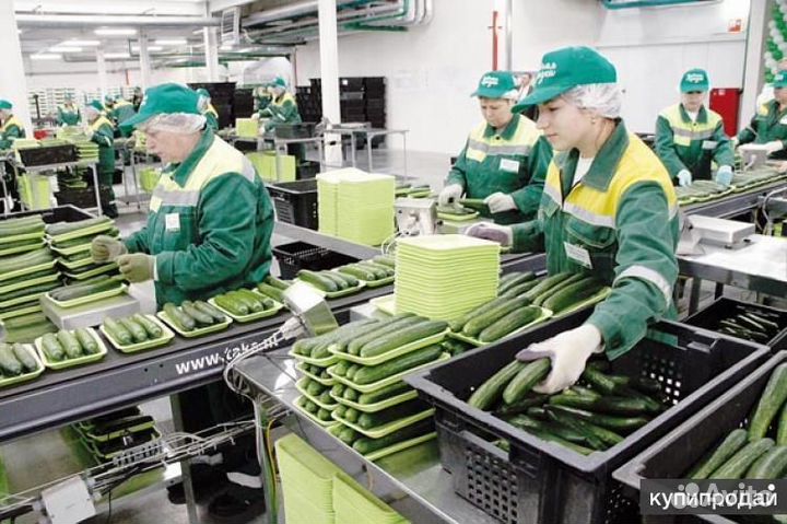 Рабочий на Производство с обучением