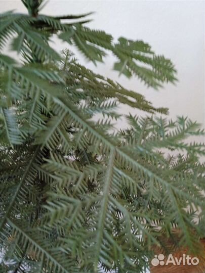 Ель искусственная настольная винтаж СССР