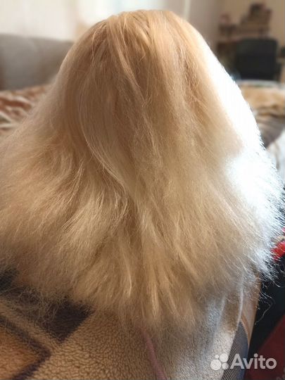 Голова манекен