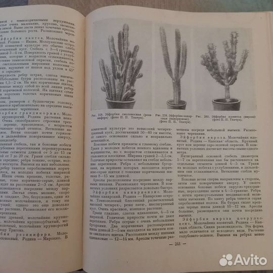 Книга комнатное садоводство 1956г