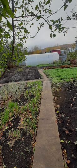 Участок 9,6 сот. (СНТ, ДНП)