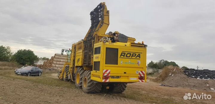 Комбайн Ropa Maschinenbau Euro-Tiger V8-3, 2011