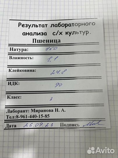 Пшеница 3 класс