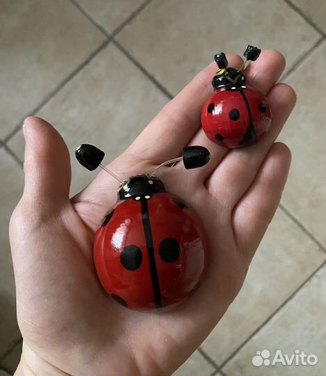 Набор магнитов Божьи коровки 2 шт. дерево