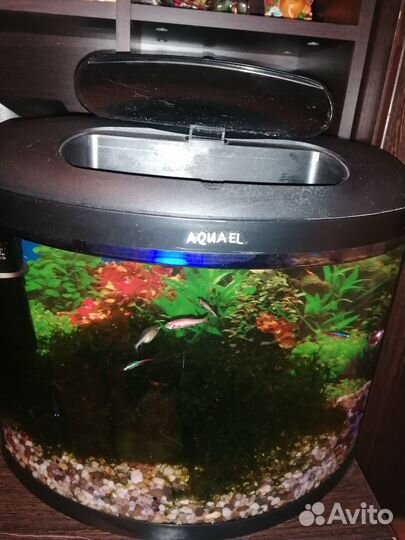 Продаются аквариумы