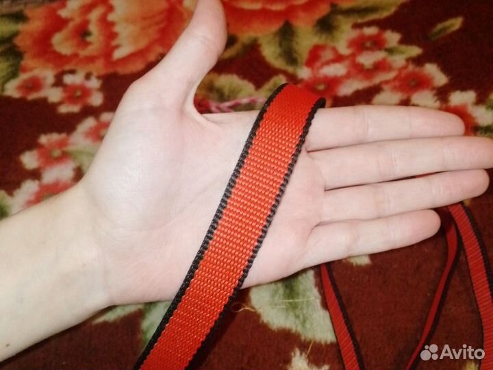 Амуниция для собак