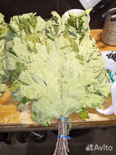 Веники для бани