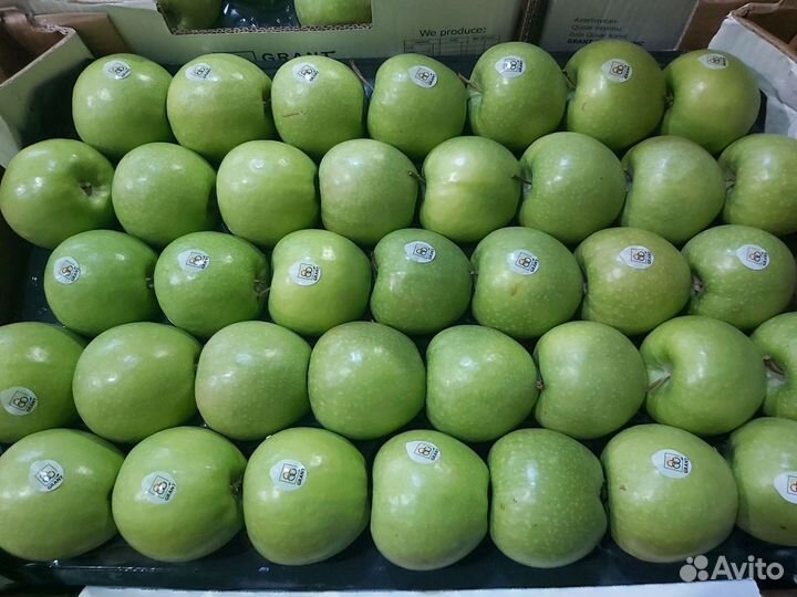 Яблоки 195