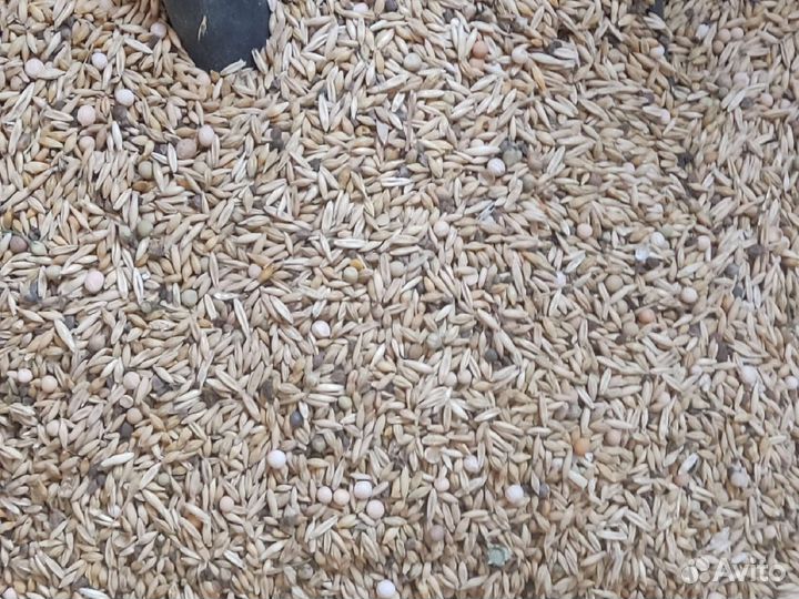 Корма для сельскохозяйственных животных