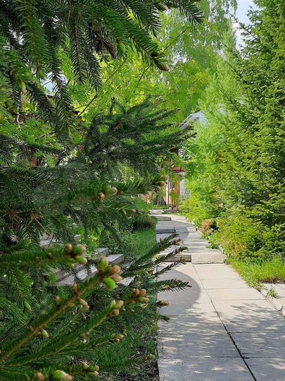 Таунхаус 50 м² на участке 1 сот.