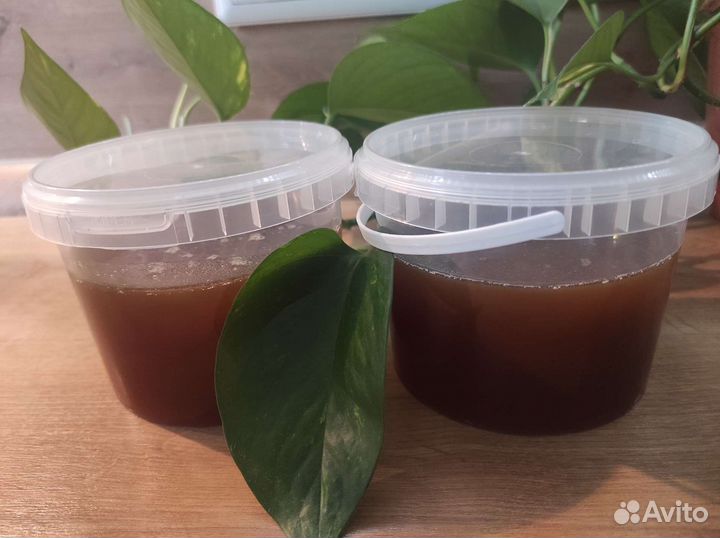 Дягилевый мед