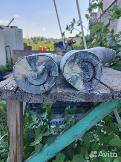 Продам бивень мамонта