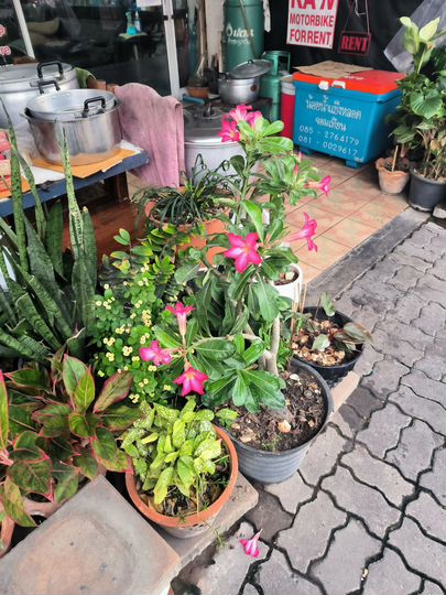 1-к. квартира, 30 м² (Таиланд)