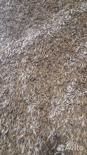 Опилки для животных/Стружка для животных/Доставка