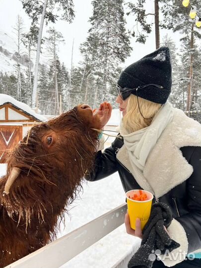 Тур на эльбрус 27 29