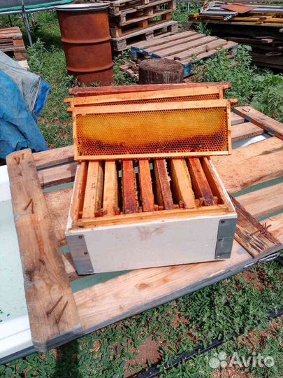 Улей для пчел, рамки