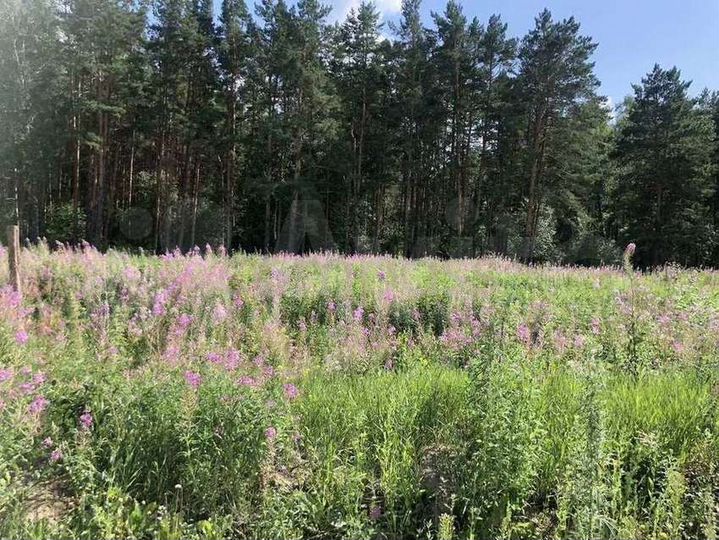 Участок 11,6 сот. (ИЖС)