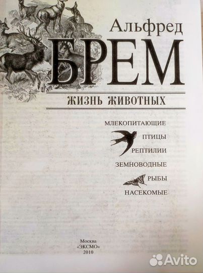 Жизнь животных, современное издание