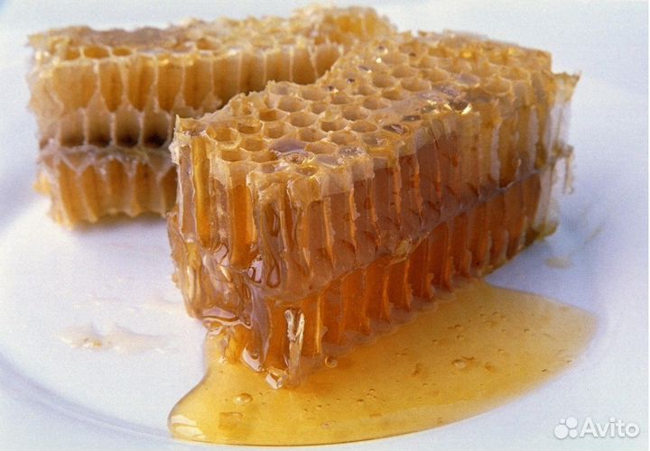 Свежий Мед сбор 2023 года Продукты пчеловодства