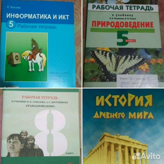 Рабочие тетради