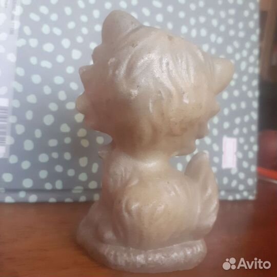 Кот и голуби