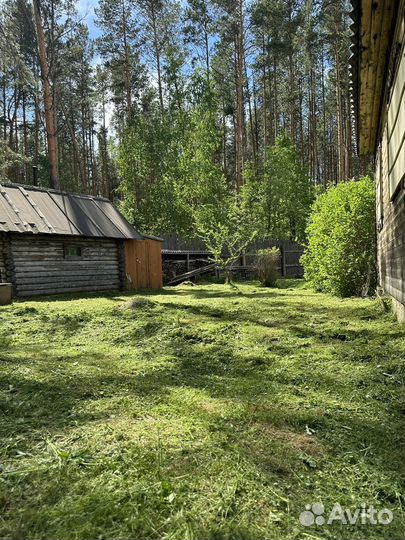 Скос травы Покос травы и спил деревьев