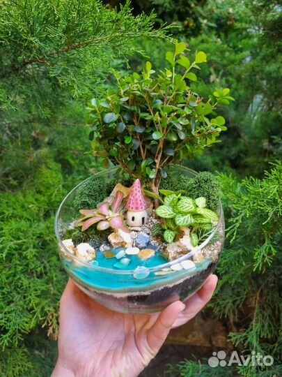 Бонсай во флорариуме (размер М)