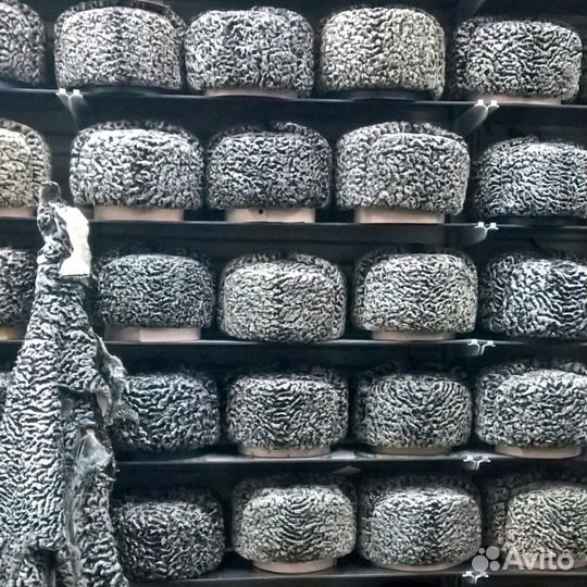 Антика каракуль ушанка папаха