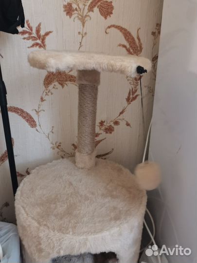 Домик для кошки бу