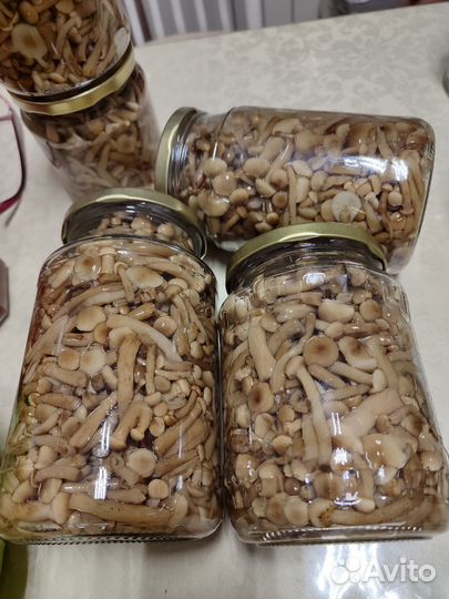 Грибы опята маринованные