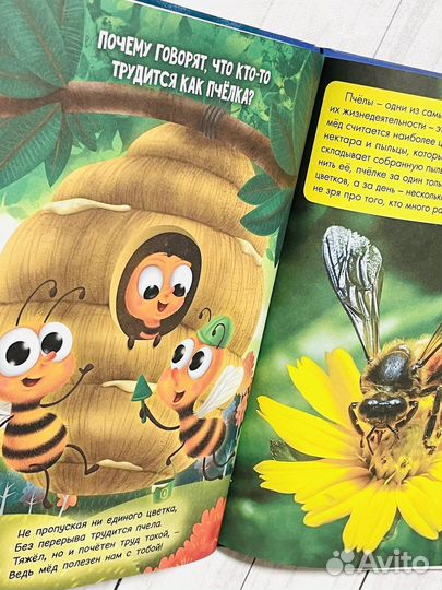 Энциклопедии в картинках для малышей