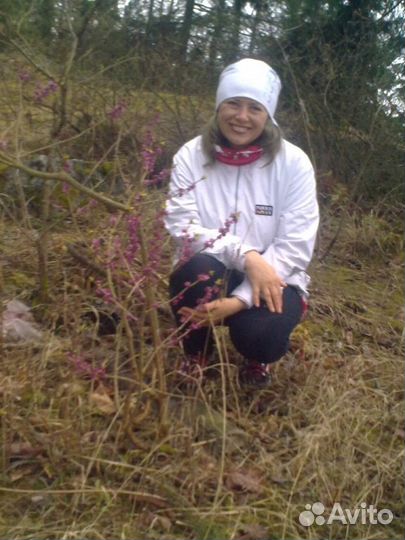 Няня, воспитатель, гувернантка. Рекомендации, 40 л