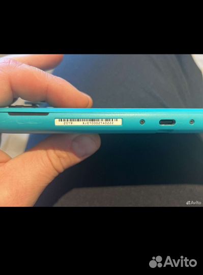 Nintendo switch lite