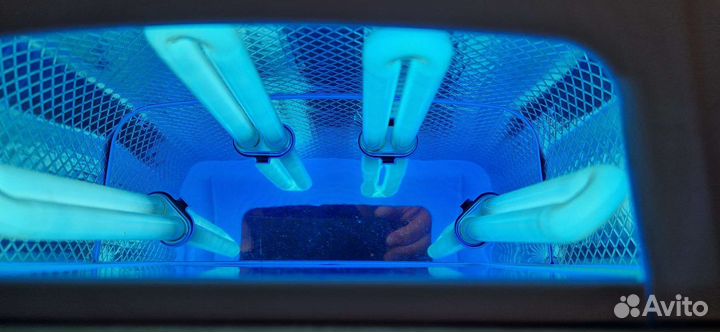 Ультрафиолетовая лампа