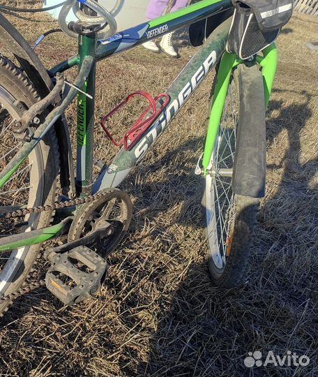 Велосипед Stinger, 2019, зеленый