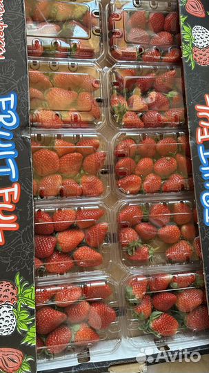 Клубника свежая