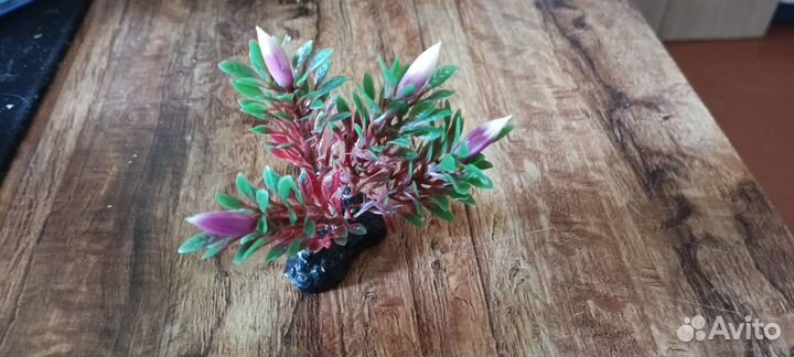 Аквариумные декорации